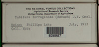 Image Associated With the Occurence